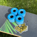 Колеса для скейтборда Bro Stuff 78A - Blue 65мм